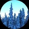 cedarandsnow